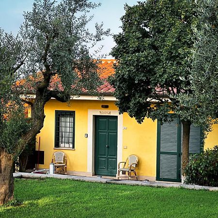 La Vista Agriturismo Boutique Ariccia Luaran gambar