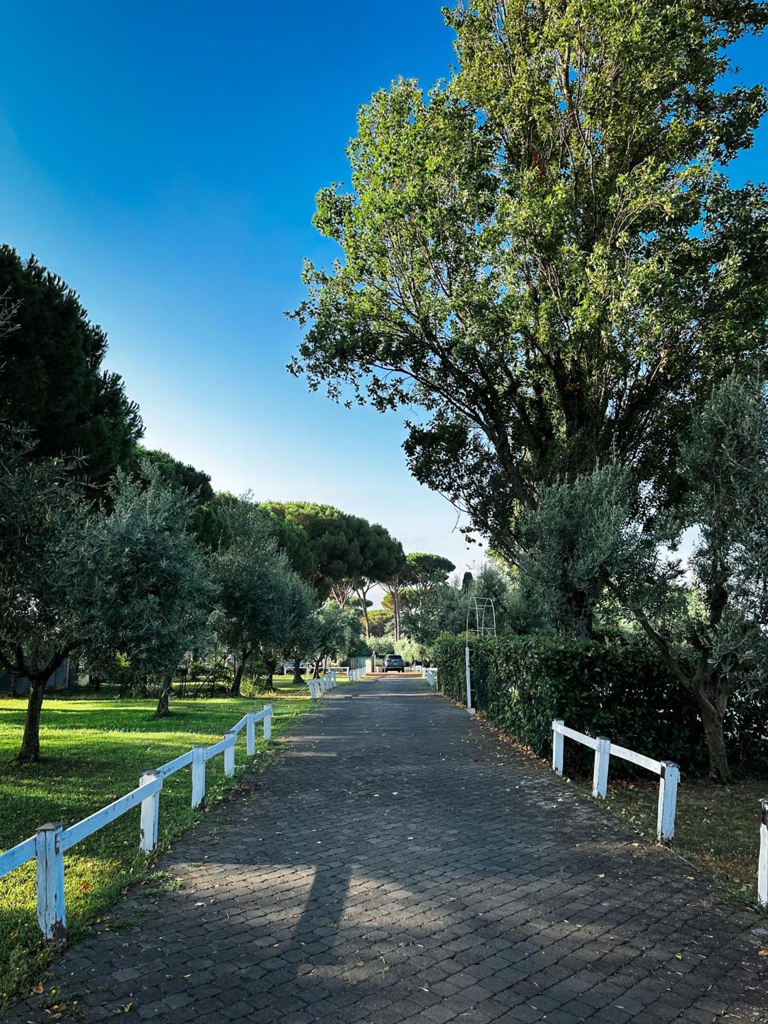 La Vista Agriturismo Boutique Ariccia Luaran gambar